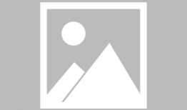 新东方校长爆料视频最新,教育行业变革与未来趋势深度解析