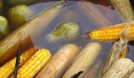 鹭岛爆料玉米肠视频下载,玉米肠视频下载，揭秘美食背后的秘密